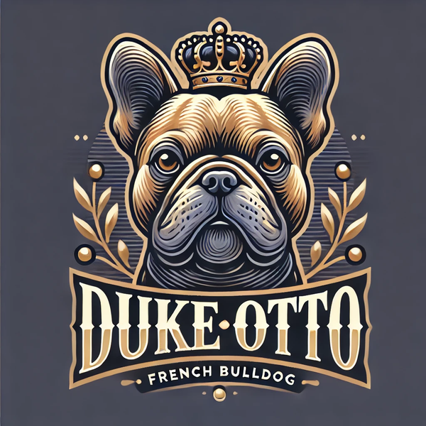 Duke Otto